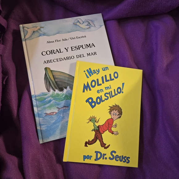 🔥 2/$10 or 3/$14 Lot Of 2 Kids Spanish Language Books - Picture 1 of 2